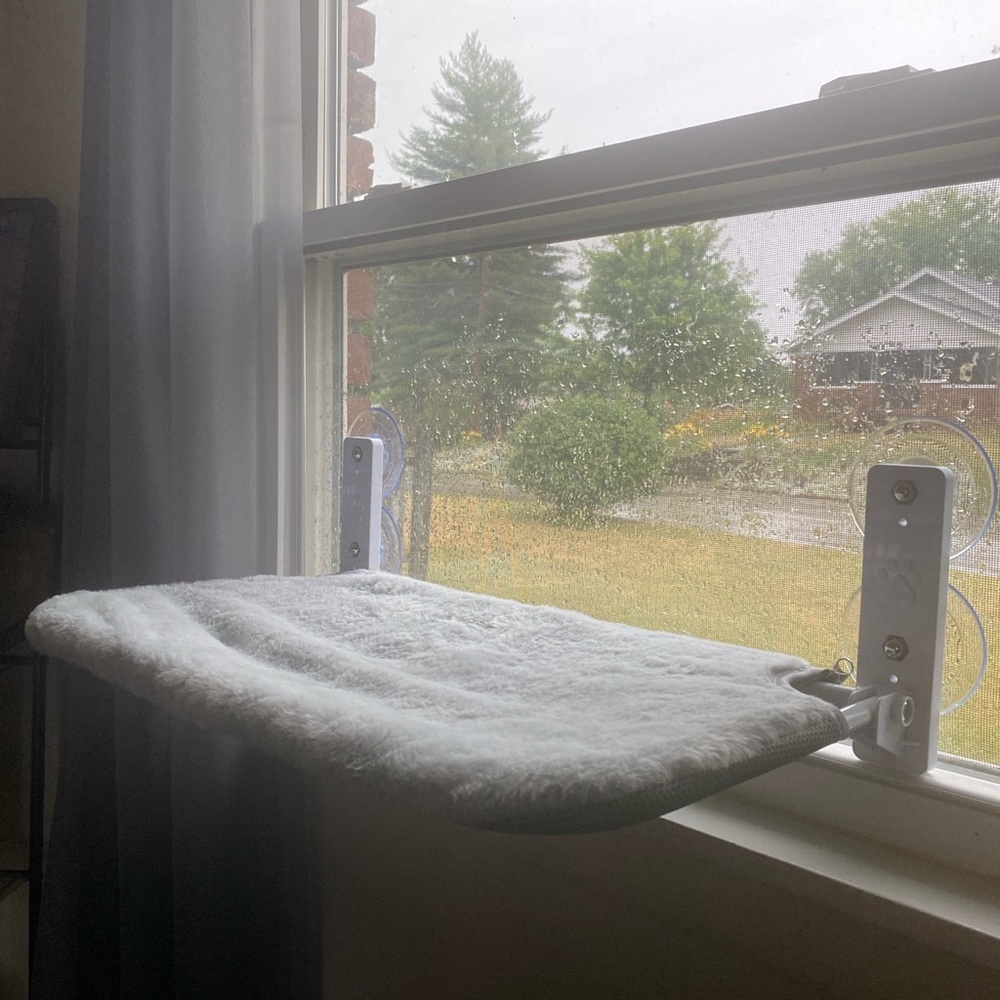 Cat window bed